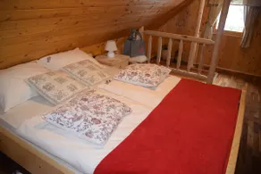 Shepperd Miha's House Private Ski Area - Image 5