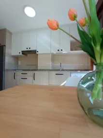 Alpha - Image 2