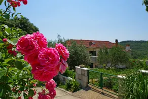 Apartment in peaceful part of island Brač (3 beds) - Image 2