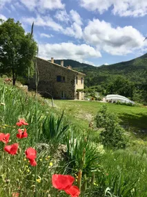 Atypical gite in Haute-Provence - Image 3