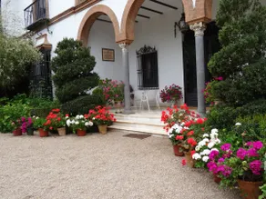 Luxury nature palace with pool and WiFi - Image 5