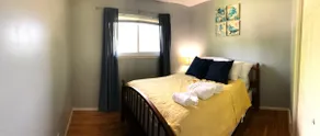 Bright and Cozy Home with Fenced in Yard (3 BDRM) - Image 4