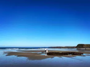Phillip Island Stylish Beach Shack - Image 4