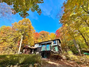Insta-worthy artist’s retreat & country chalet - Image 3