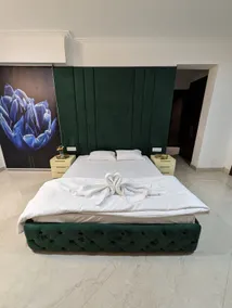 Ultra Modern 4BHK, Luxurious Parties, NFC Delhi - Image 3