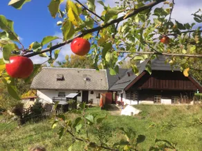 Accommodation in a half-timbered cottage U Vincků - Image 2