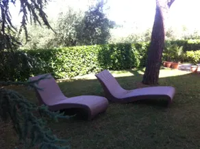 Villa Leardini - Le Palme Apartment - Image 3