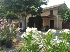 MAS TRADITIONNEL PROVENCAL \"LA FABRIQUE DU 13\", A 7 kms DE ST REMY DE PROVENCE - Image 2