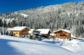 Organic farm apartment Oberreith with sauna - Image 3