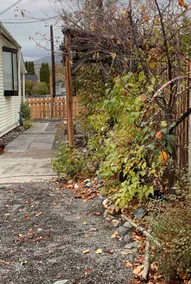 Black Cat Guest House - Image 4