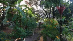 Sowparnika - A Family Home Experience - Image 4