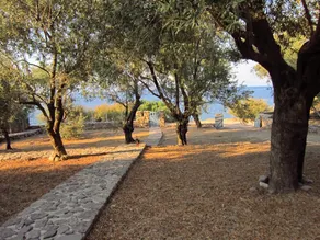 Seaside house amongst olive trees - Image 2