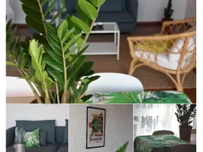 Charming apt at the beach -2 mn from Hossegor - Image 3