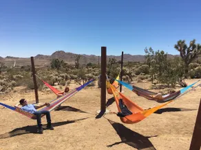 Spirit Wind | Architecture + Views + National Park - Image 4
