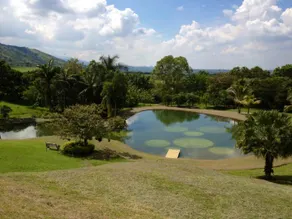 Hacienda Boutique La Romelia House - Image 3