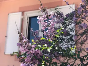Beautiful Villa in Mountainous Lefkada - Image 5
