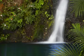 Aloha Falls Hilo ~ peaceful - Image 4