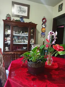 Casa da Lila - Image 4
