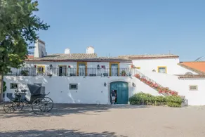 1821 Houses - Casa dos Condes [House of the Counts] - Image 2