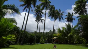 Tropical garden bungalow with pool - Image 3