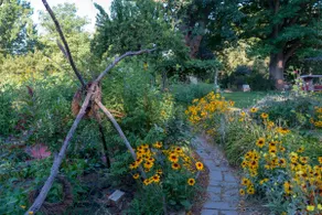 Country in the City - Image 5