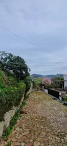 Casa Rodrigues- Comfort and Beauty in a single location| - Image 2