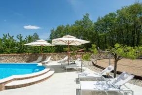 Holiday home with swimming pool, wellness, horses and donkeys - Image 2