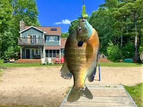 Lakeside Memories Await at Trenanthia's ”The OG” - Image 5