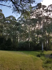 Southern Highlands Heavenly ”Humpy” Romantic 100% - Image 4