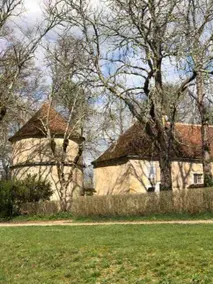 Charming house in Northern Burgundy, 200 km from Paris/Lyon - Image 4