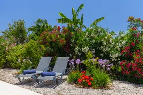 Calm,privacy, private pool at Trialonialuxuryvilla - Image 4