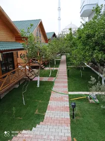 Detached high-ceiling tree house 200 meters from the sea - Image 5