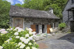 Your own hamlet: 2 rustic homes on the Verzasca - Image 2