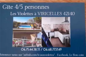 Les Violettes dans la Loire - Image 3