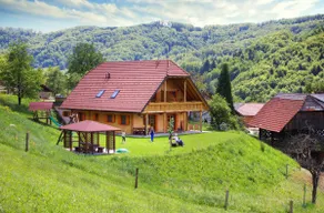 Tourist Farm Pirc Apartment with 2 bedroom + sauna - Image 5