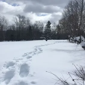 Spectacular 'Cape Cod' in Vermont! - Image 2
