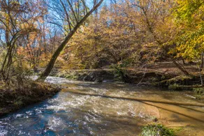 Arkaquah Creek Retreat! - Image 4