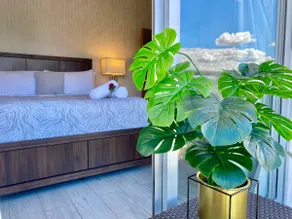 Luxury City Center Condo, Full AC, Cozy, Near All. - Image 3