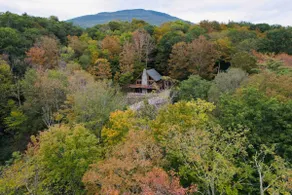 Quintessential Cabin in the Woods near Town - Image 3