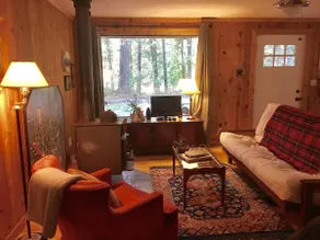 Cozy Cabin:woodstove, record player, vintage decor - Image 2