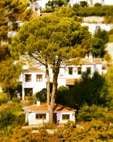 Olmedilla - Image 2