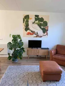 Comfortable house 60 m2, newly renovated - center - Image 4