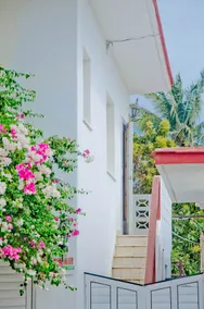 Buganvilia Village. Apartment with terrace. - Image 2