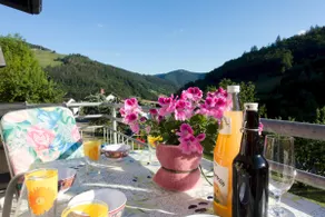 Apartment Hasenhorn view - so close to the local mountain - Image 3