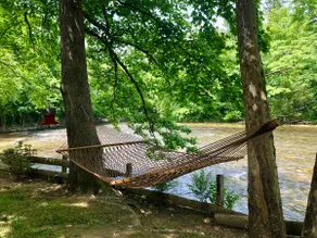 Little River Escape in the Smokies! - Image 4