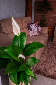 Cozy home in Três Coroas - Image 3