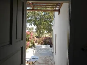 Potamida - Image 3