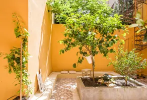 Cosy 19th cent. athenian house&yard - Image 4