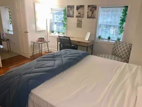 Cozy Spacious 95WalkScore in heart of Adams Morgan - Image 4