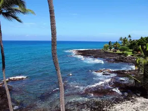Oceanfront Condo! Turtles and Beautiful Sunsets! - Image 2